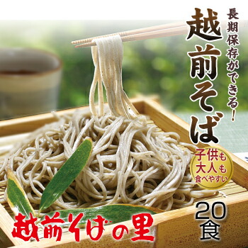 【ふるさと納税】創業90余年の老舗・越前そばの里　常温で長期保存できる「越前そば」20食　楽天そばランキング常連の 越前そばの里がふるさと納税でも！<BR>送料無料 越前そば そば 福井県　越前市 年越しそば（18209）