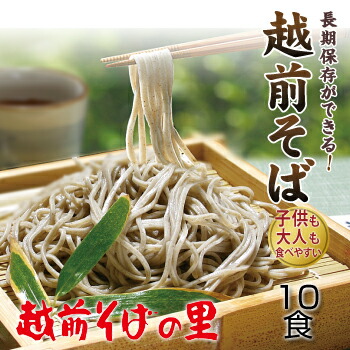 【ふるさと納税】創業90余年の老舗・越前そばの里　常温で長期保存できる「越前そば」10食　楽天そばランキング常連の 越前そばの里がふるさと納税でも！<BR>送料無料 越前そば そば 福井県 越前市 年越しそば（18209）