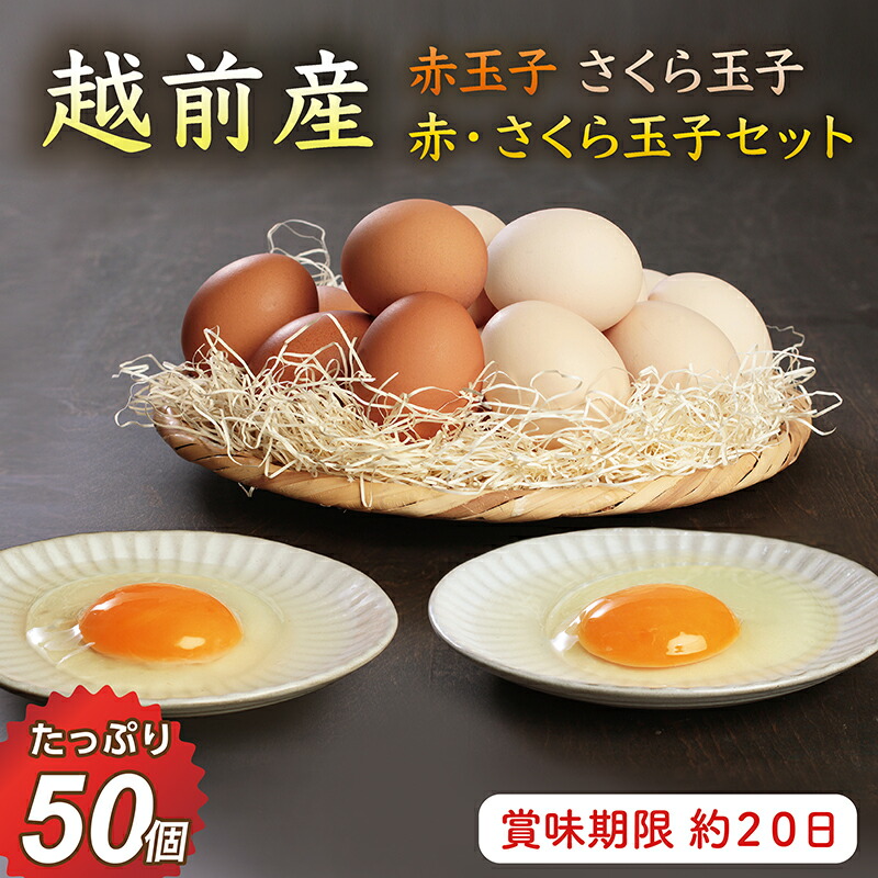 【ふるさと納税】お届け日指定可　越前産 赤玉子 さくら玉子 赤玉子とさくら玉子セット 50個（45個＋割れ補償5個入り）定期便 3回 6回 12回／送料無料 福井県 越前市 卵 たまご  タマゴ (18209)