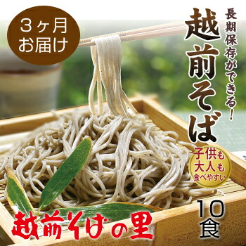 創業90余年の老舗・越前そばの里 常温で長期保存できる「越前そば」10食 そばランキング常連の 越前そばの里がふるさと納税でも!送料無料 そば 越前そば 福井県 越前市 おうち時間 蕎麦(18209)