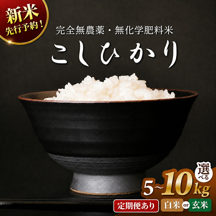【ふるさと納税】〈令和8年産〉新米 先行予約 無農薬米5kg・10kg・定期便あり　玄米/白米選択可【こしひかり】/ 送料無料 福井県 越前市 米 コシヒカリ 無農薬 2026年度産 新米 予約販売 12か月（18209）｜福井県越前市