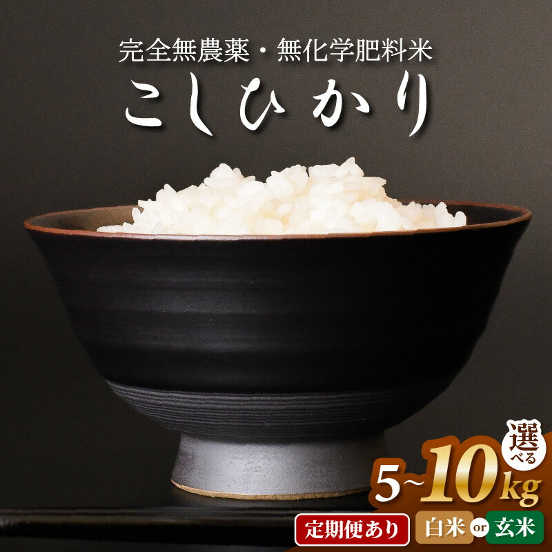 【ふるさと納税】〈令和７年産〉無農薬米5kg・10kg・定期便あり　玄米/白米選択可【こしひかり】/ 送料無料 福井県 越前市 米 コシヒカリ 無農薬 2025年度産（18209）