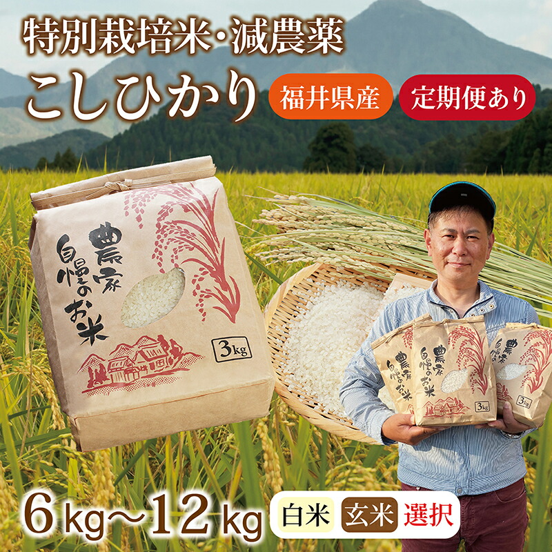 【ふるさと納税】【先行予約】令和7年 福井県産 減農薬米 こしひかり 6～12kg 定期便3～12回（玄米・白米選択可）/ 送料無料 福井県 越前市 米  コシヒカリ 減農薬 2025年度産（18209）