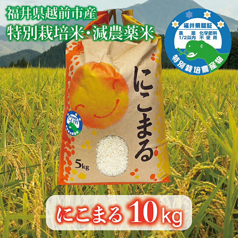 【ふるさと納税】新米「にこまる」10kg 令和7年度産 福井県越前市産 福井県特別栽培米/ 送料無料 福井県 越前市 米 ニコマル 減農薬 2025年度産 新生活(18209)