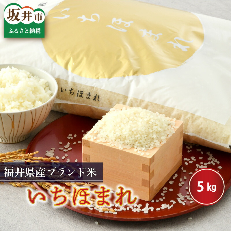 【ふるさと納税】【令和7年産】 米 5kg さんさん池見二代目がお届けする 福井県産 いちほまれ 米 お米 5キロ