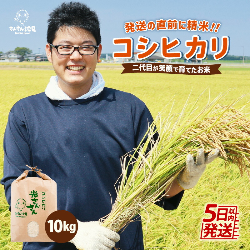 ふるさと納税 福井県 坂井市 福井県坂井市丸岡町産 コシヒカリ 計5kg（精米） [A-11302_03] 精米 ふるさと納税令和7年産・新米楽天1位獲得！米 福井