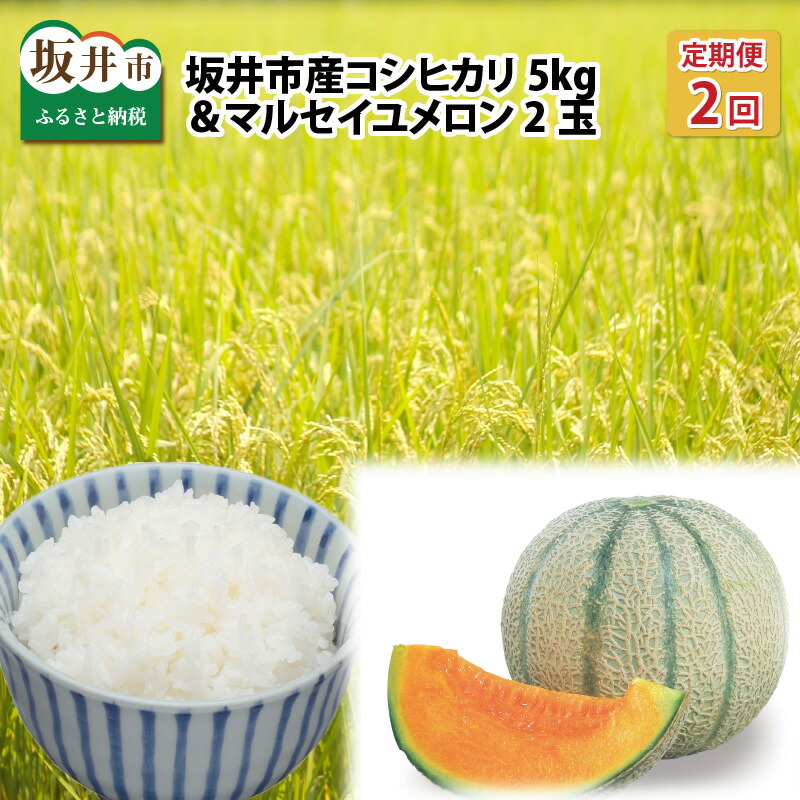 ふるさと納税 定期便宜 2イニング軌跡 マーセールズメロン 2宝玉 福井県 坂井マーケット造成新手コシヒカリ 5kg 50書き割り削る 令合流4年次 行方取っておく Corticocarioca Com Br
