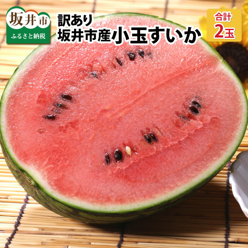 【ふるさと納税】【先行予約】【訳あり】小玉すいか 2玉 坂井市産【2025年7月以降順次発送予定】【スイカ 西瓜 フルーツ 果物 不揃い わけあり 国産】