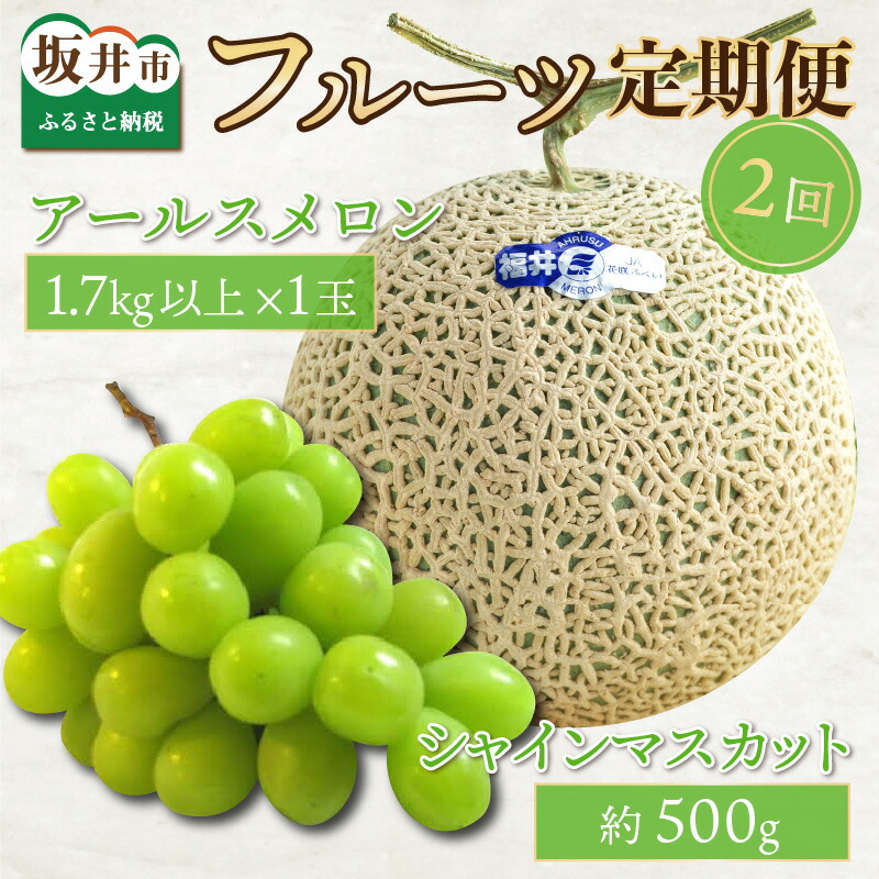 【ふるさと納税】【先行予約】フルーツ定期便2回【アールスメロン1玉  1.7kg以上＆シャインマスカット1房】実りの季節に美味しい果物♪【2025年8月中旬以降順次発送予定】【フルーツ 果物 くだもの デザート 青肉 葡萄 ぶそう ブドウ 旬の味覚 産地直送】