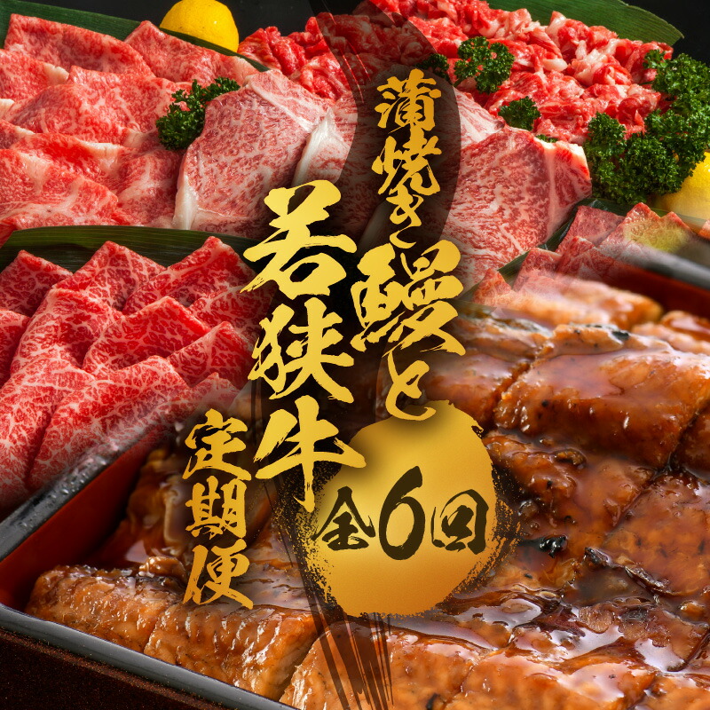 【ふるさと納税】【定期便 6回コース】 蒲焼き鰻 と 肉の鉄板コース 定期便 【うなぎ＆若狭牛】石ちゃんもまいう～とうなった絶品のウナギと若狭牛！ 【牛肉 牛 国産牛 国産 和牛 お肉 ブランド牛 焼肉 鰻のかば焼き ウナギ 黒毛和種 黒毛和牛 A4等級クラス 人気】