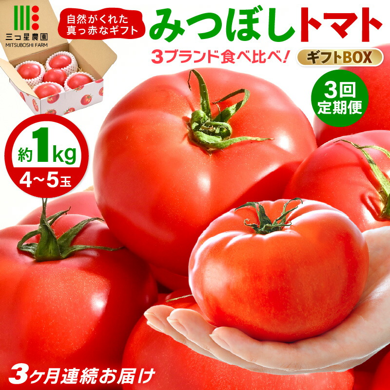 【ふるさと納税】定期便 ≪3ヶ月連続お届け≫ みつぼしトマト☆3ブランド食べ比べ！ 約1kg &times; 3回 【とまと トマト 野菜 生野菜 新鮮 産地直送 贈答 ギフト 国産】｜福井県坂井市