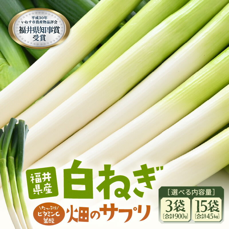 【ふるさと納税】【先行予約】ビタミンCと葉酸たっぷり「畑のサプリ白ネギ」【選べる内容量：3袋/15袋】 【2026年11月以降順次発送予定】【長ネギ 長ねぎ 葱 長葱 白葱 野菜 鍋 贈答 ギフト】