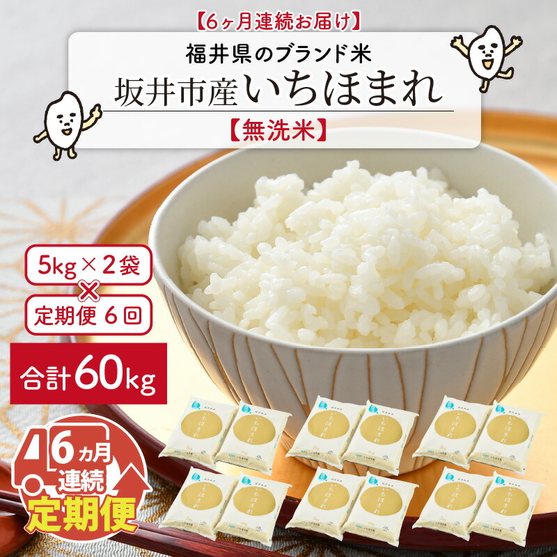 福井県のブランド米 いちほまれ 無洗米 10kg × 6回 計60kg こめ お米 定期便 米・雑穀