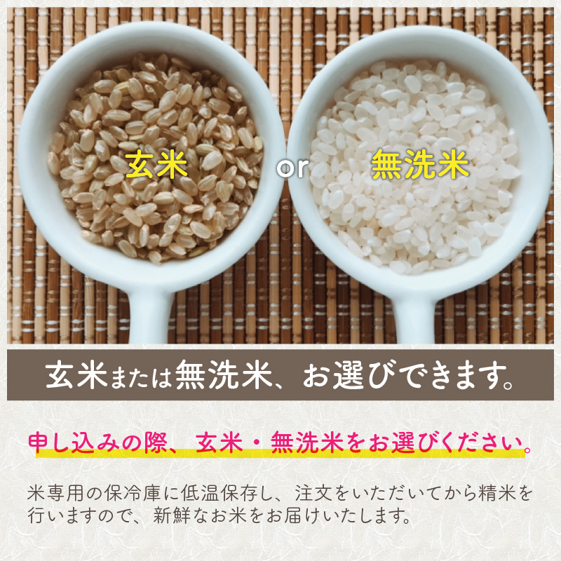 おトク】 新米 令和4年産 極上コシヒカリ 玄米or精米or無洗米 10 tbg.qa