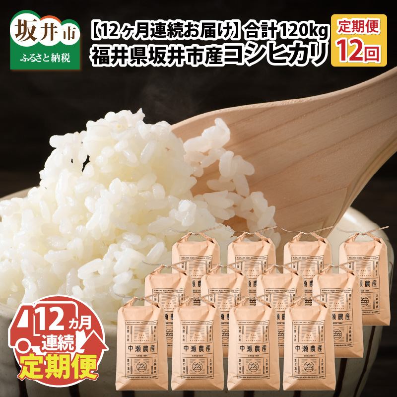 大人気定番商品 新米 令和4年産 極上コシヒカリ 玄米or精米or無洗米 10