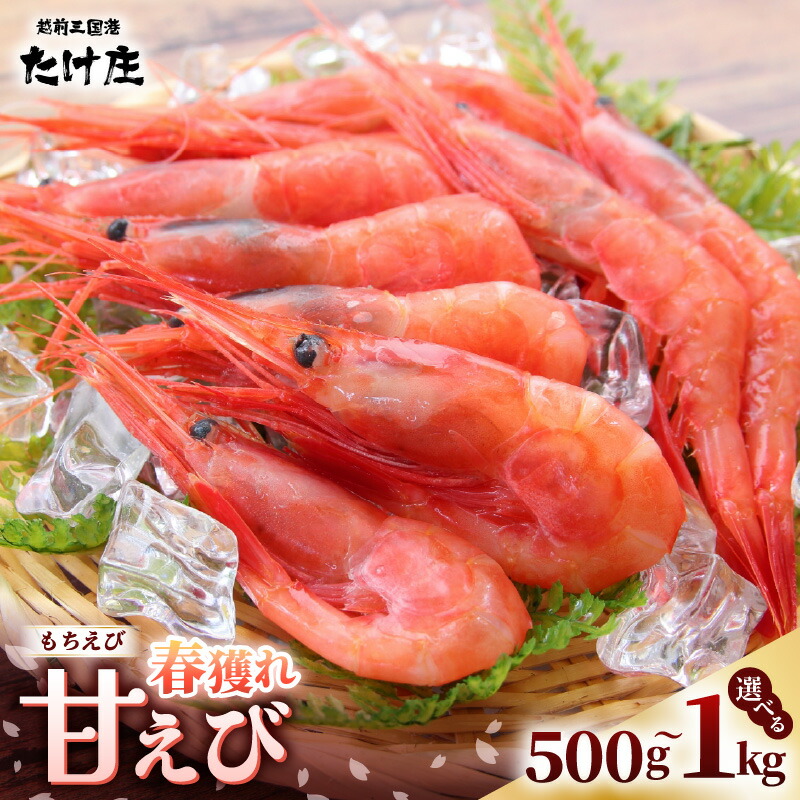 【ふるさと納税】甘えび（もちえび）500g / 1kg (500g×2袋) 【選べる内容量】【甘海老 あまえび アマエビ えび 海老 有頭 刺身 生食 海鮮 海産物 魚貝類 魚介類 新鮮 冷凍 食品 おかず 三国】