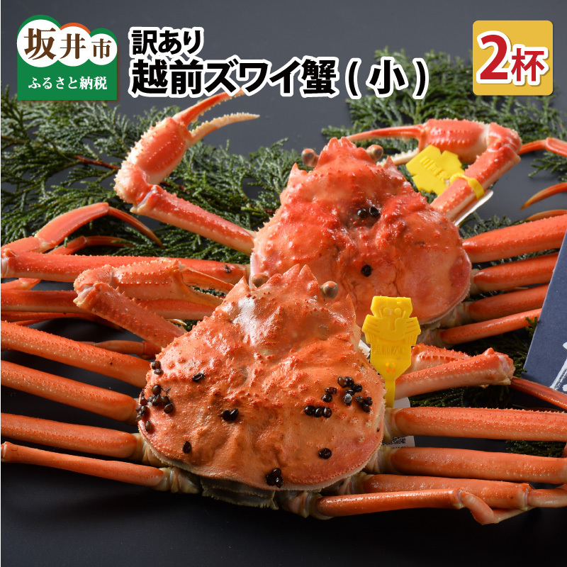 【ふるさと納税】【先行予約】 訳あり≪茹で≫越前ズワイ蟹(小) 2杯【2025年11月～2026年3月発送予定】【カニ かに わけあり 海鮮  蟹 越前ガニ ずわいがに ズワイガニ 姿 まるごと 日本海 冬の味覚 送料無料】
