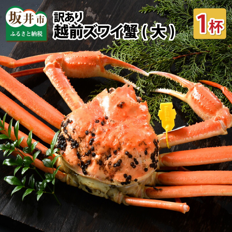 【ふるさと納税】【先行予約】 かに 訳あり ≪茹で≫越前ズワイ蟹(大) 1杯【2025年11月～2026年3月発送予定】【越前がに 越前ガニ ズワイガニ 国産 県産】
