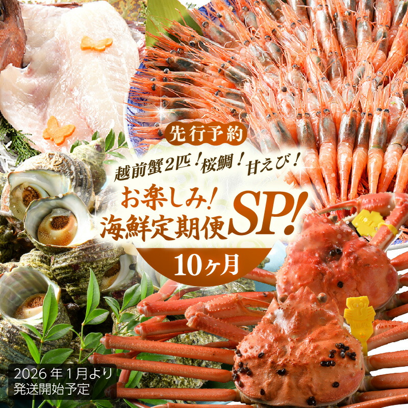 【ふるさと納税】【先行予約】【1月から10ヶ月お届け】≪茹で≫越前蟹2匹・桜鯛・甘えび！お楽しみ！海鮮定期便SP！【2026年1月より発送開始予定】