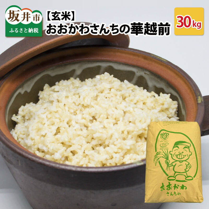 【ふるさと納税】【令和7年産】 おおかわさんちの華越前 玄米 30kg 【お米 こめ ハナエチゼン 30キロ ご飯 ごはん 美味しい ふるさと納税米】 39,000円