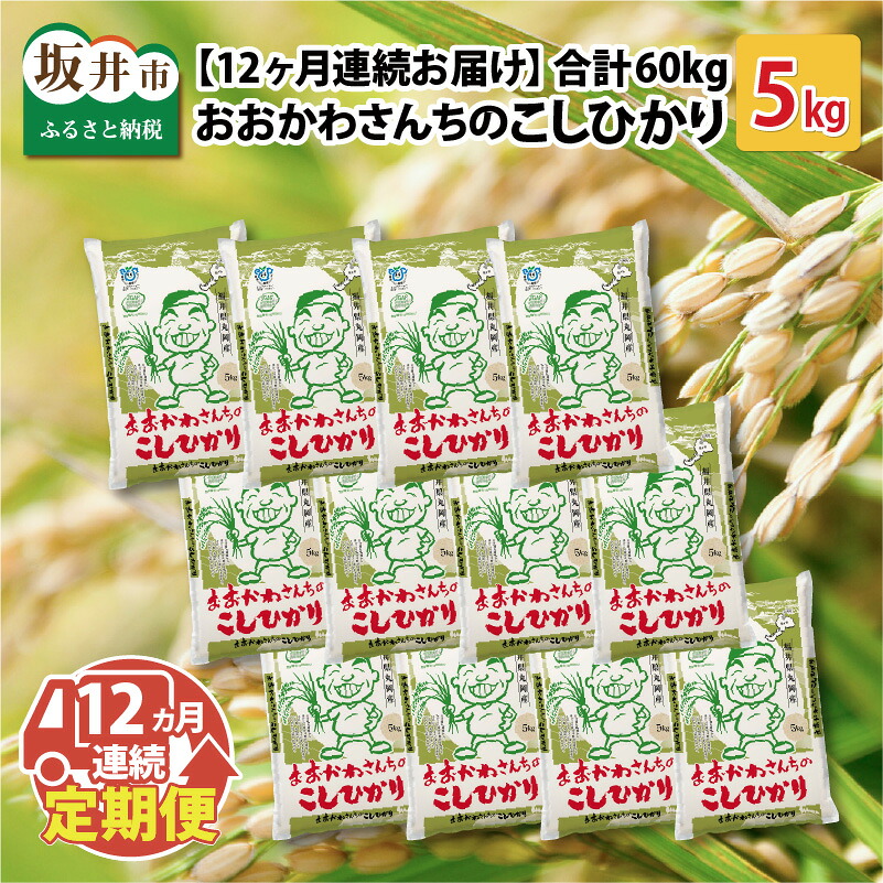 【ふるさと納税】【令和7年産】 【12ヶ月連続お届け定期便】おおかわさんちのコシヒカリ 5kg × 12回 計60kg 【コシヒカリ 米 おこめ 精米 5キロ ブランド米 国産】