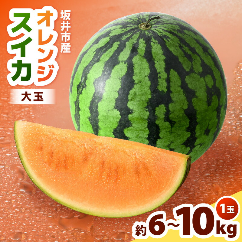 【ふるさと納税】【先行予約】オレンジスイカ 1玉（大玉：6～10kg前後）＜7月中旬～8月お届け！＞【2025年7月中旬以降順次発送予定】 【 サマーオレンジ ビッグサイズ スイカ 西瓜 フルーツ 果物 入手困難 希少 国産 産地直送 】