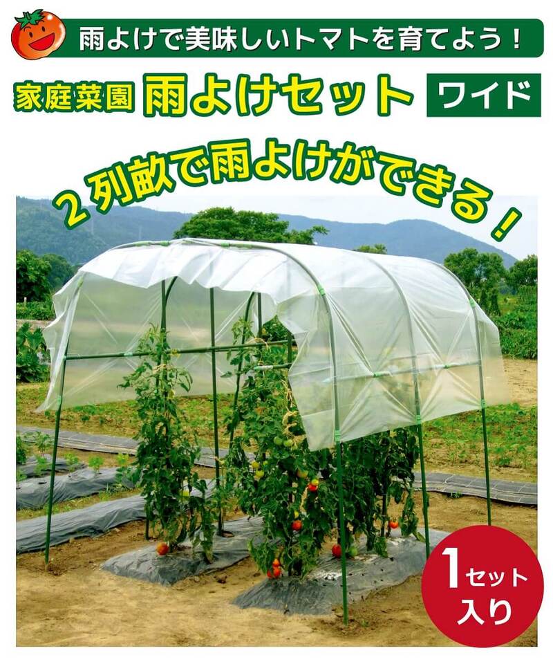 【ふるさと納税】daim 家庭菜園雨よけセット ワイド 組み立て簡単！丈夫で長持ち！！【雨よけ 透明シート 雨除けシート 棚 雨除け トンネル 野菜 家庭菜園用 ビニールハウス 家庭用 小型 園芸 雨よけシート 雨除けハウス 家庭菜園 パイプ 農業資材 野菜栽培】