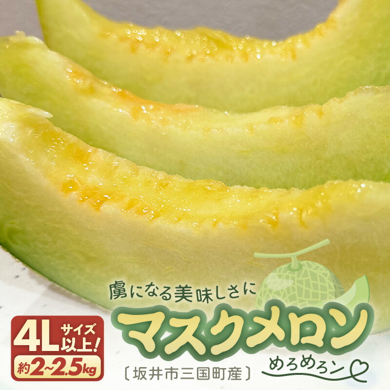 【ふるさと納税】【先行予約】 マスクメロン 4Lサイズ以上 1玉 （約2～2.5kg） 虜になる美味しさにめろめろン 【2026年10月下旬以降順次発送予定】【メロン めろん フルーツ デザート 果物 くだもの 果実 青肉 糖度 甘い ジューシー お取り寄せ グルメ 産地直送】