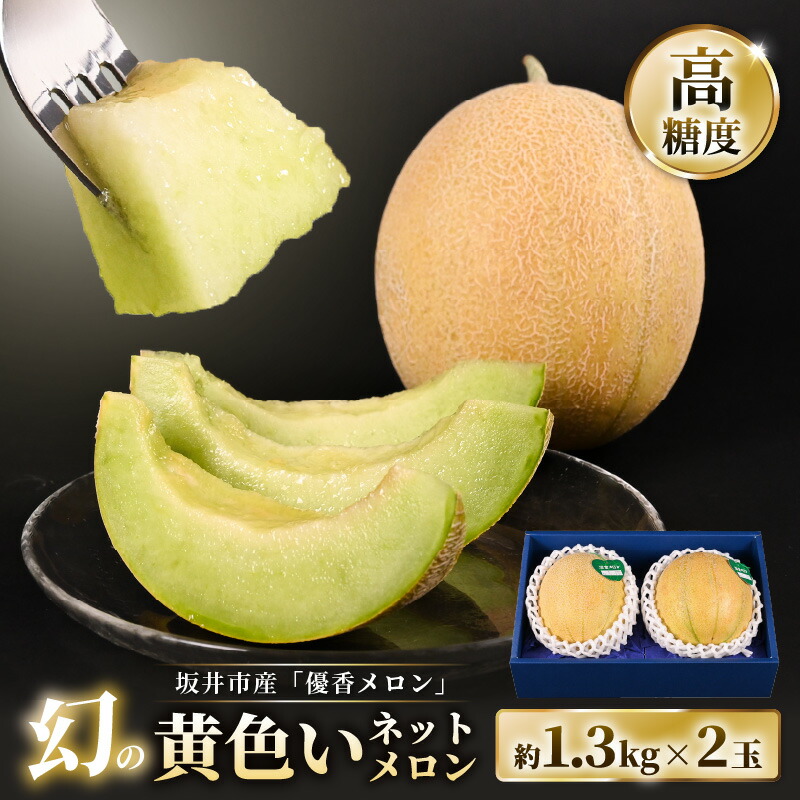【ふるさと納税】【先行予約】三里浜砂丘地で作られた「ゆうかメロン」（青肉系メロン）2玉入り（1玉1.3kg前後） 【2025年6月上旬以降順次発送予定】 【メロン めろん フルーツ デザート 果物 くだもの 果実 青肉 糖度 甘い ジューシー お取り寄せ グルメ 産地直送 希少】