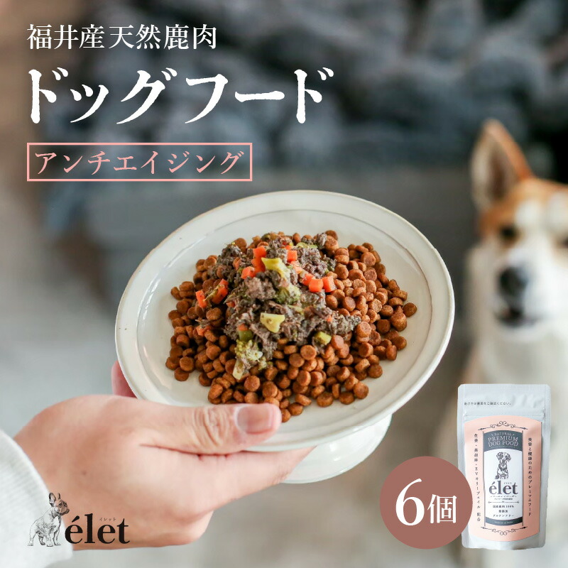 【ふるさと納税】福井県産生まれながら鹿当て嵌めるの美容思わしい ドッグフード e\u0027let アンチエイジング 6個 【狩猟肉 鹿肉 牡鹿 思わしい 犬 小型犬 中型犬 大型犬 愛玩動物 愛玩動物設備 ボンネット エサ 厳選】