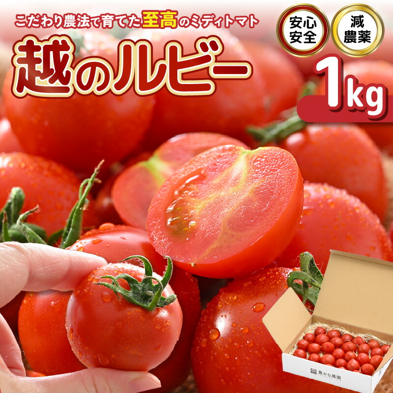 とまと。出品 Nintendo Switch - トマト Mega Man Zero/ZX Legacy Collection