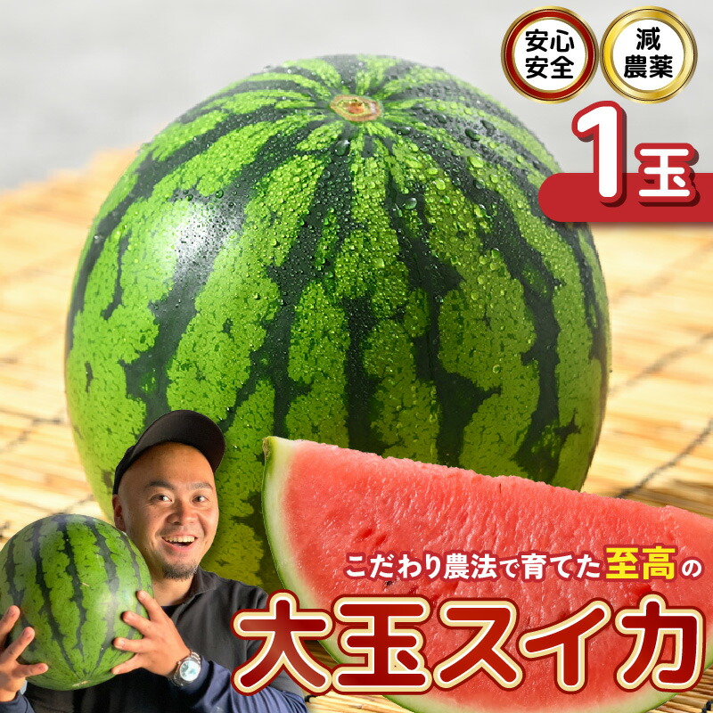 楽天市場】【ふるさと納税】【先行予約】 坂井市産 ハウススイカ 1玉