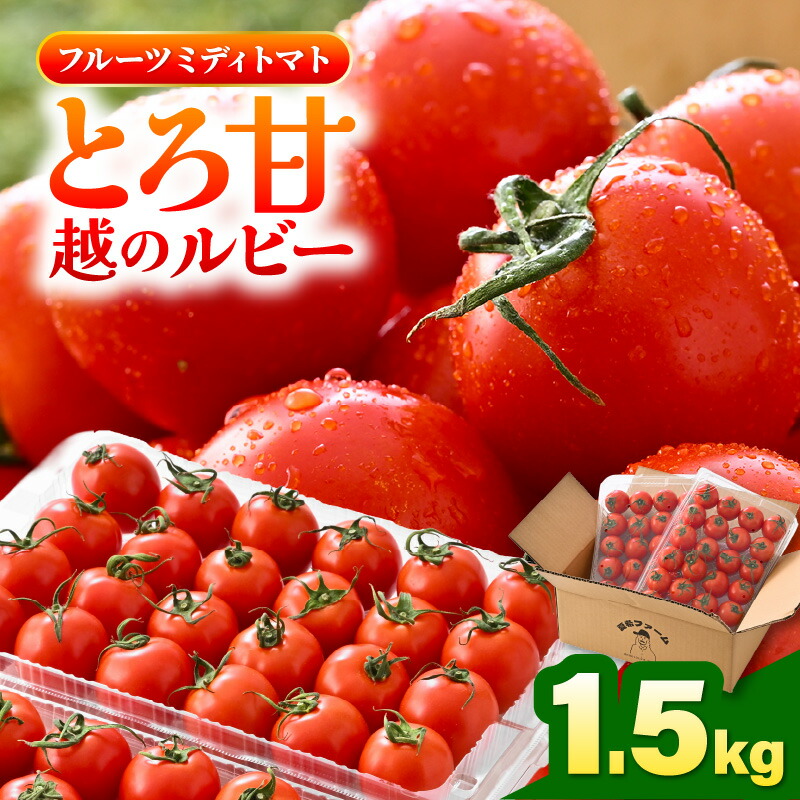 【ふるさと納税】 【先行予約】 とろ甘 越のルビー 1.5kg 高糖度ミディトマト 【2026年6月下旬以降順次発送予定】 【とまと トマト ミディトマト ブランド品種 野菜 生野菜 美容 健康 新鮮 産地直送 国産】