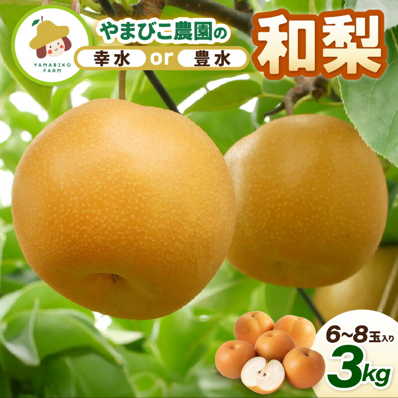 【楽天市場】【ふるさと納税】【先行予約】和梨 3kg (3L～5Lサイズ) 6~8玉入り【選べる品種：幸水梨 / 豊水梨】坂井北部丘陵地で ...