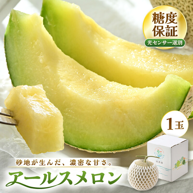 【ふるさと納税】【先行予約】 アールスメロン (緑肉) 1玉 糖度15度以上 三里浜砂丘地産 糖度保証 【2026年9月上旬以降順次発送予定】 メロン めろん フルーツ デザート 果物 くだもの 果実 糖度 甘い 産地直送 国産｜福井県坂井市