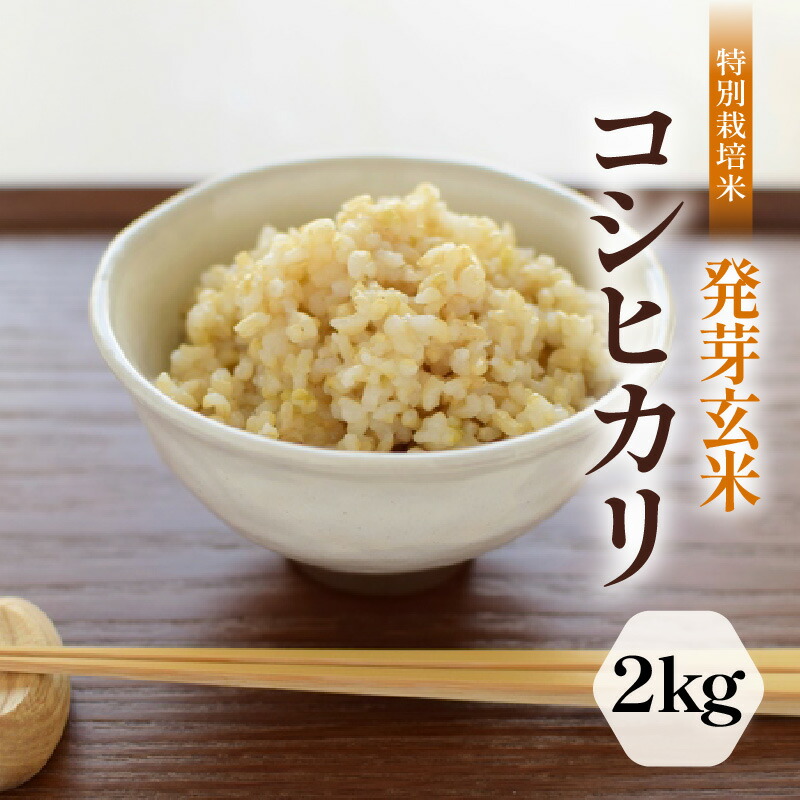 【ふるさと納税】【令和7年産】発芽玄米 特別栽培米 コシヒカリ 2kg 【米 玄米 こしひかり ギャバ GABA 特別栽培 食物繊維 栄養 真空パック ごはん ご飯 おいしい ふるさと納税米】