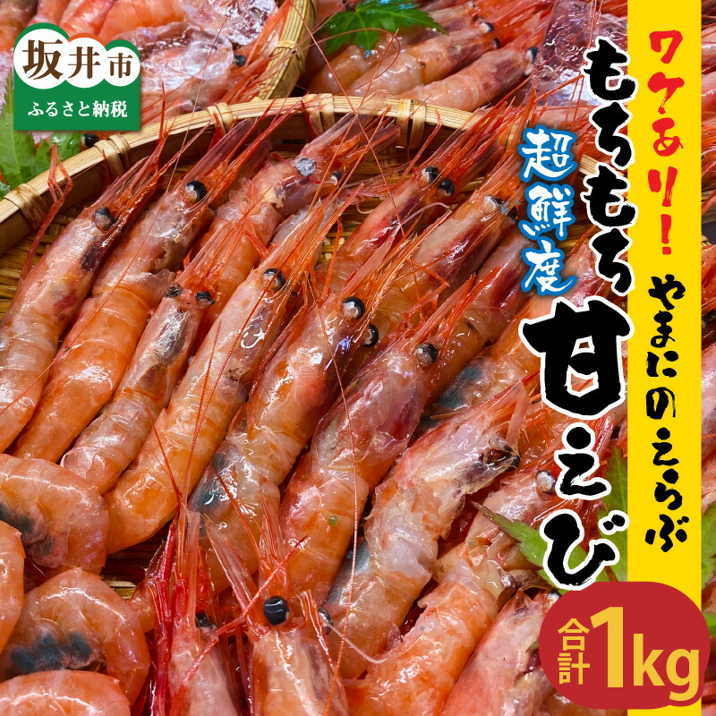【ふるさと納税】 高評価★4.84【訳あり】唐揚げにすると子供たちが「ママ美味しい～！」と叫ぶ 三国港 「やまに」の選ぶ！もちもち甘えび 1kg / 1.5kg 【坂井市産 福井県産 国産 海老 アマエビ 甘海老 殻付き わけあり 冷凍便】