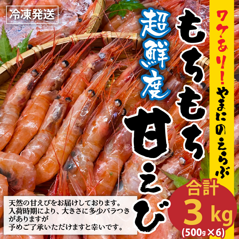 ふるさと納税 察知あり 坂井市庭造る 福井県産 とれたて三国港 やまにの選出 論なくもち甘えび 500g 6小包み サム3kg 国産 後の世押える 命合同3年次凝結で急便 甘エビ Chspandc Org Au