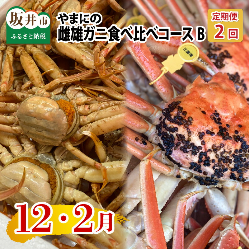 【ふるさと納税】【先行予約】【年2回お届け】 やまにの雌雄ガニ食べ比べ コースB（12月・2月発送）【2026年12月中旬以降順次発送予定】｜福井県坂井市