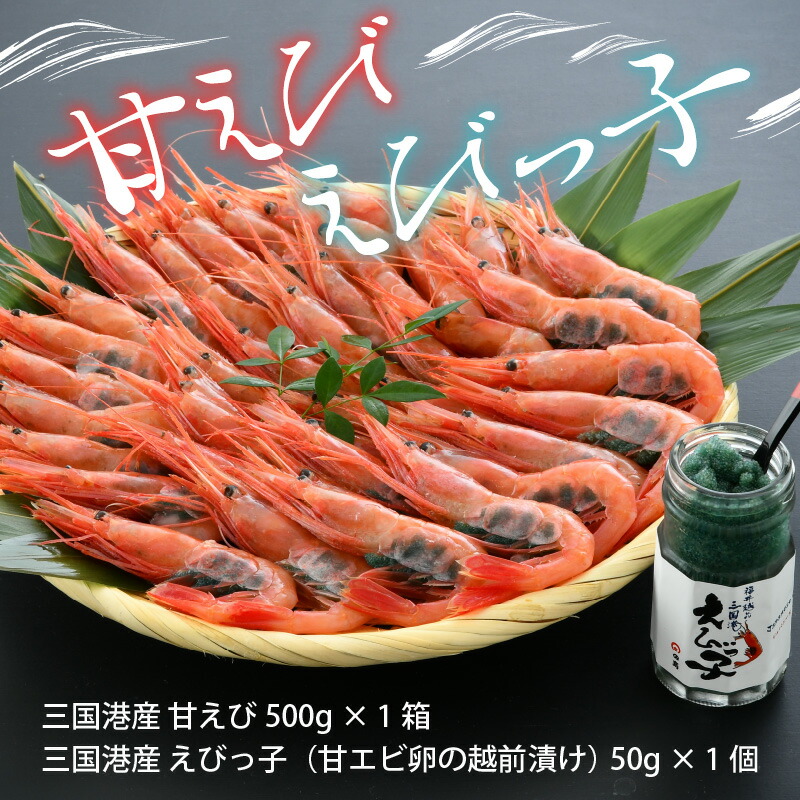 ふるさと納税 本場の濃厚な 甘えび 約500g えびっ子 約50g 甘エビ 卵 三国 福井県産 Kanal9tv Com