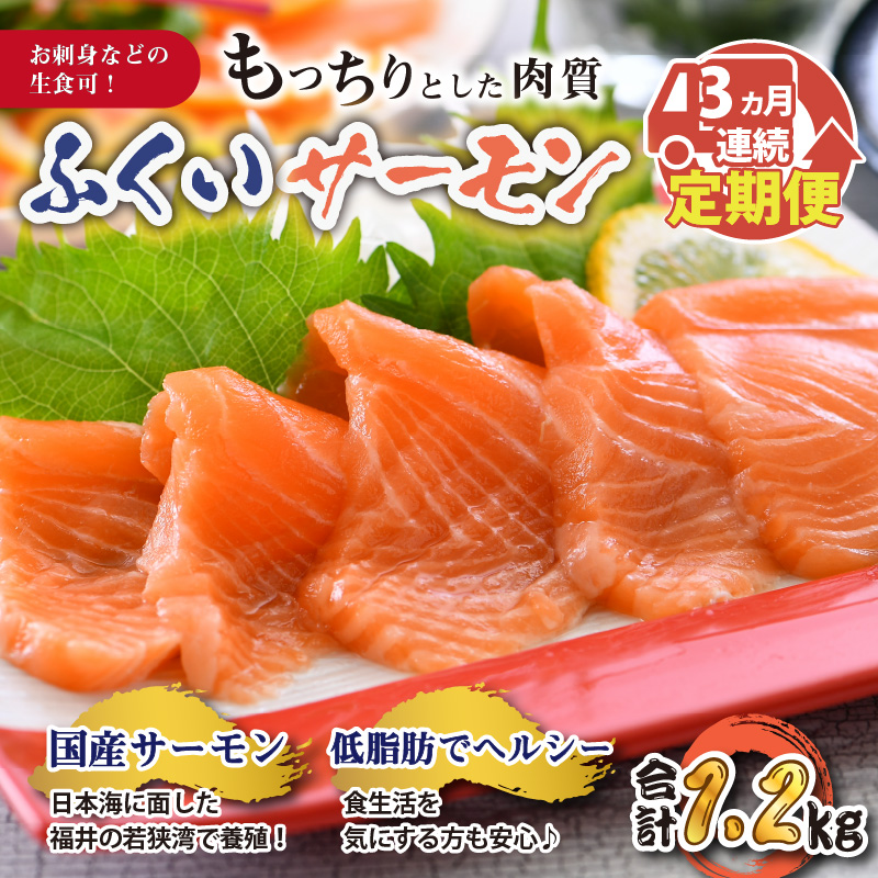 注目のブランド ふくいサーモン 400g 刺身用 真空冷凍 200g × 2パック 3回 魚 さかな 生食 国産 県産 fucoa.cl