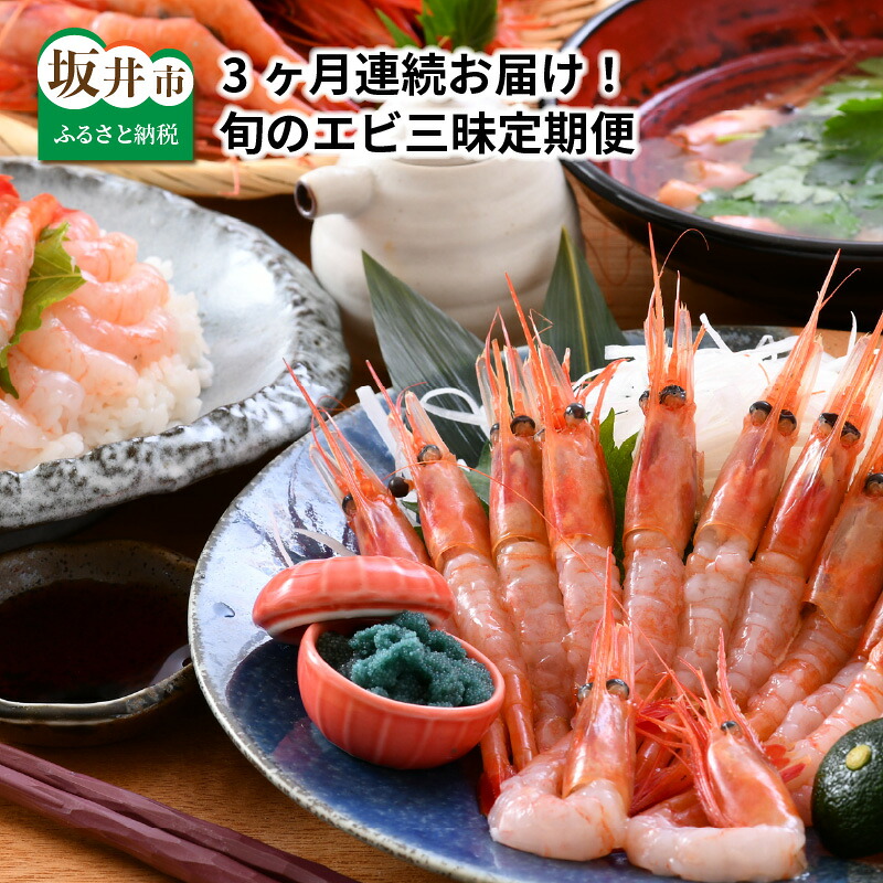 【ふるさと納税】【先行予約】定期便 ≪3ヶ月連続お届け≫ 旬のエビ三昧定期便 【2027年4月以降順次発送予定】【甘海老 甘エビ あまえび 剥きエビ ガサエビ エビ 刺身 焼き 鍋 新鮮 冷凍 産地直送】|福井県坂井市