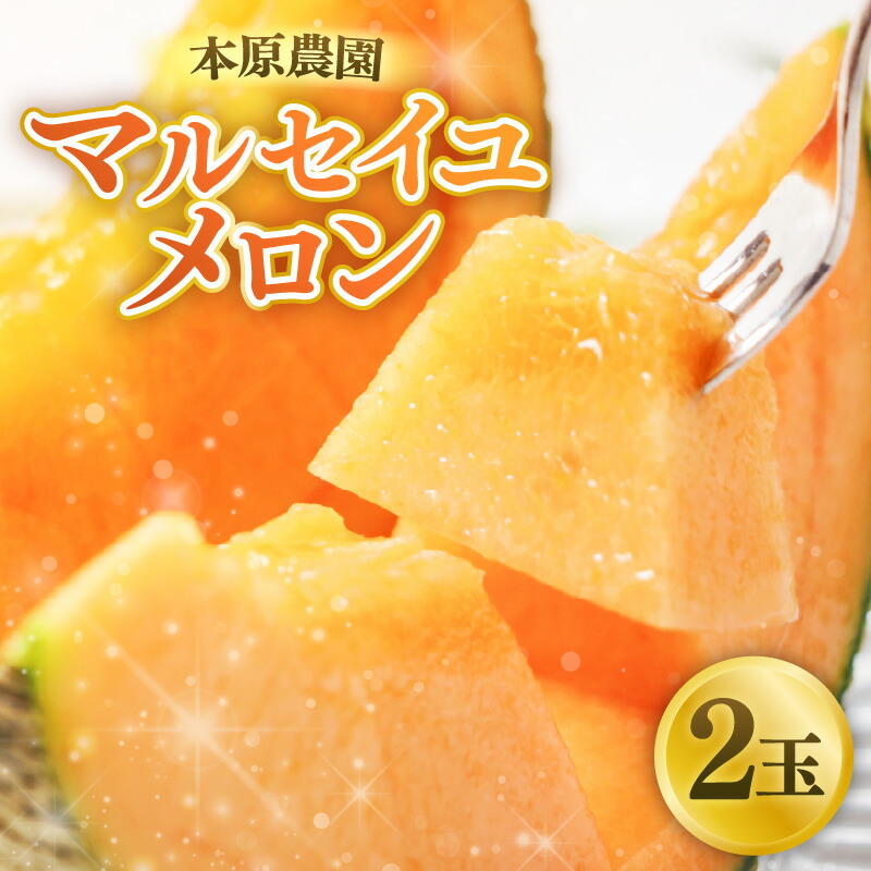 【ふるさと納税】【先行予約】本原農園のマルセイユメロン2玉【2025年6月上旬以降順次発送予定】