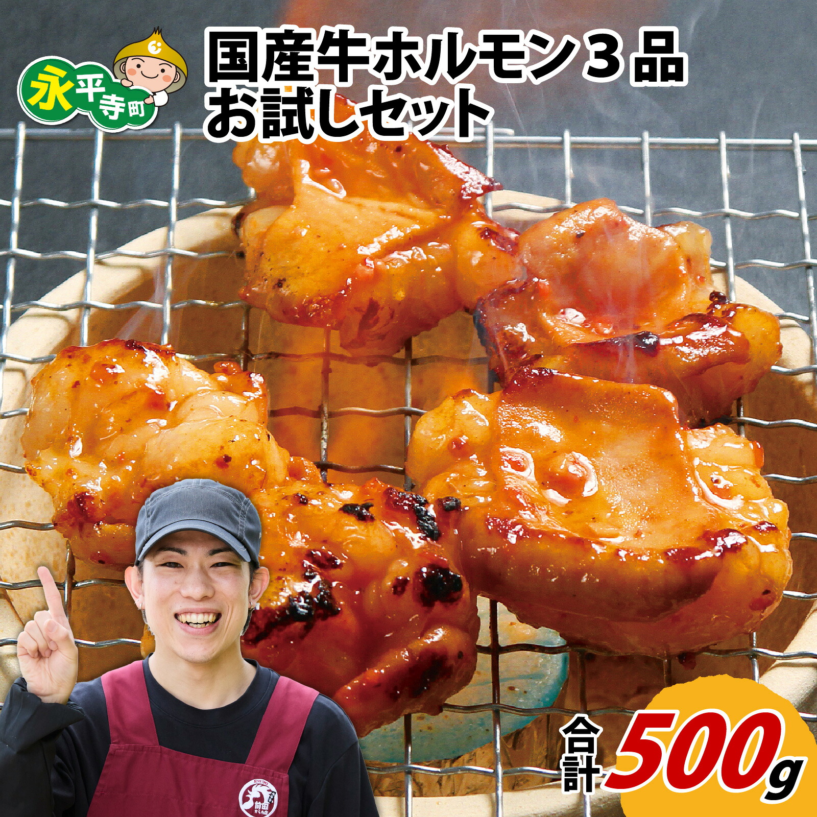 【ふるさと納税】国産牛ホルモン3品 お試しセット 約500g / 永平寺町 前田かしわ店 牛ホル 詰め合わせ 焼肉 バーベキュー BBQ 鍋 もつ鍋 小分け｜福井県永平寺町