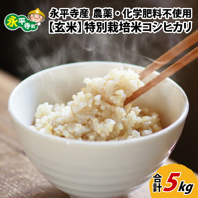 【ふるさと納税】【玄米】 令和7年度産 永平寺町産 農薬不使用・化学肥料不使用 特別栽培米 コシヒカリ 5kg / 無農薬 ご飯 ごはん こめ お試し