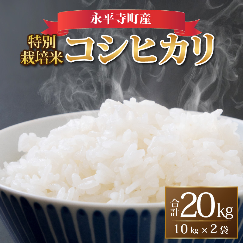 令和5年度産 新米コシヒカリ 農薬未使用白米20kg