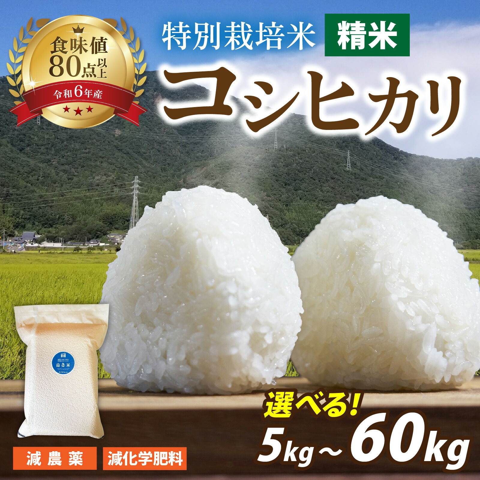 【ふるさと納税】【 令和7年産 】南条米 特別栽培米コシヒカリ 真空パック 精米5kg／10kg　選べる容量・配送回数【単発便（1回）、定期便（3ヶ月・6ヶ月）】