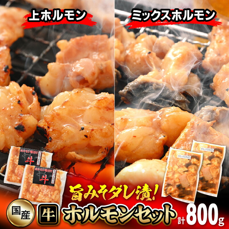 【ふるさと納税】国産 牛ホルモン セット 計800g（上ホルモン・ミックスホルモン 各2袋） 旨みそダレ漬け！ 【 冷凍 お手軽 小分け BBQ バーベキュー 】[e03-a018]｜福井県越前町