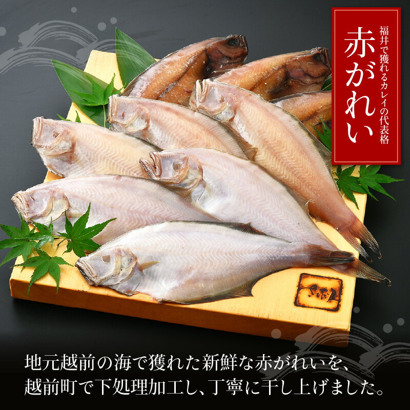 ふるさと納税 干物 1尾 9パック入り 赤がれい一塩干し 大サイズ