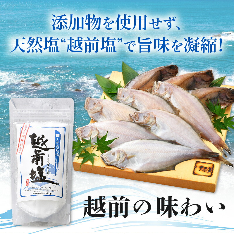 ふるさと納税 干物 1尾 9パック入り 赤がれい一塩干し 大サイズ